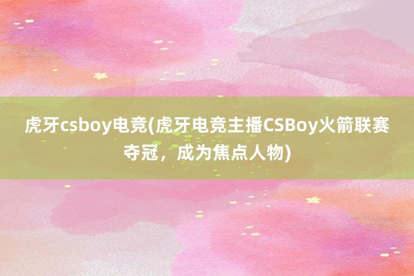 虎牙csboy电竞(虎牙电竞主播CSBoy火箭联赛夺冠，成为焦点人物)