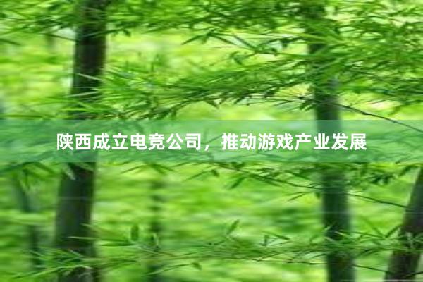 陕西成立电竞公司，推动游戏产业发展