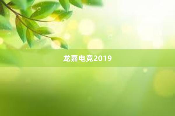 龙嘉电竞2019